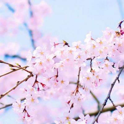 娱乐平台登录注册相关推荐1